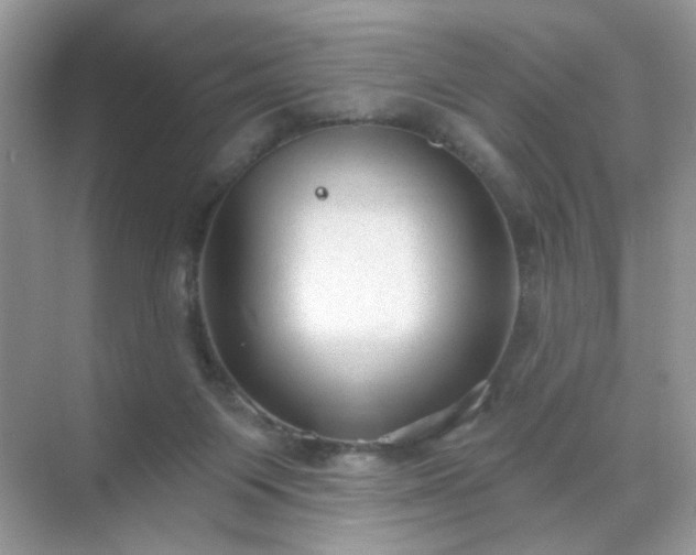 X0000071800119200607072101