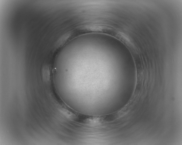 X0000071800120200607072101