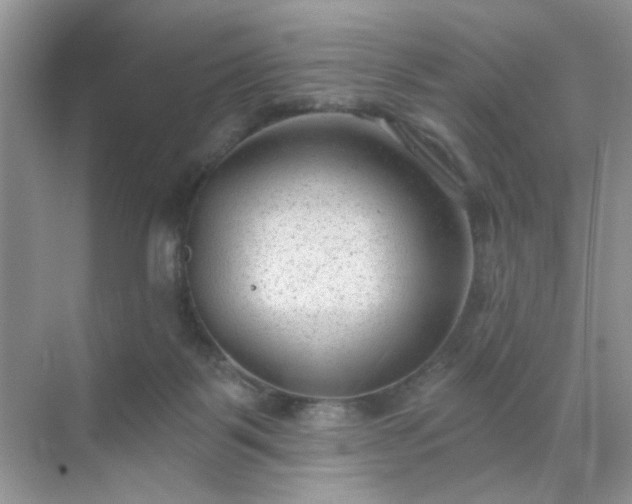 X0000071800123200607072101