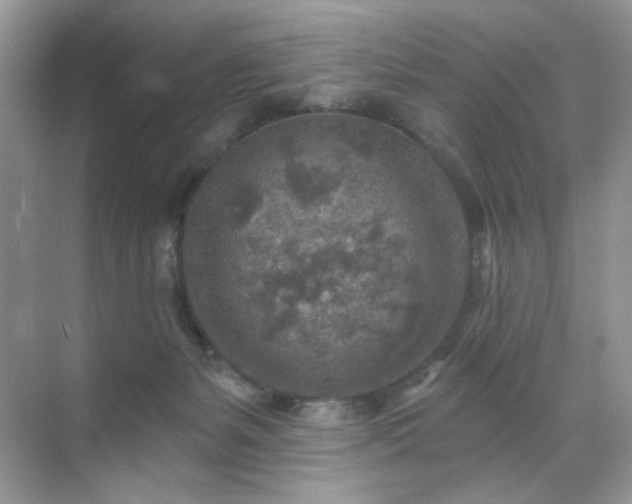 X0000071800127200607072101