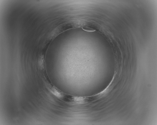 X0000071800144200607072101