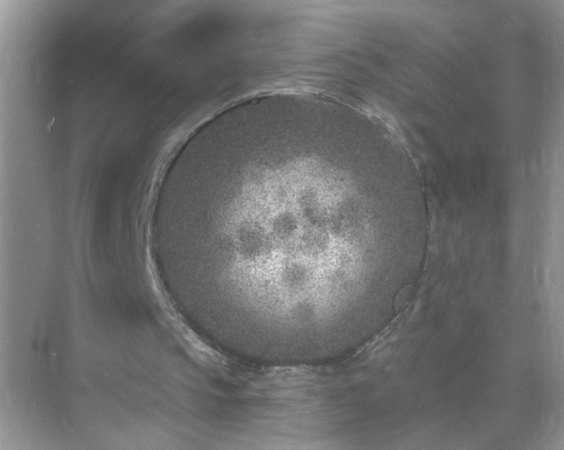 X0000071800145200607072100