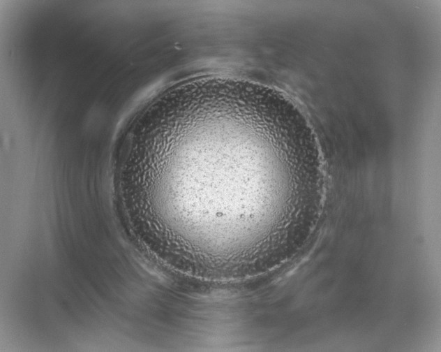 X0000071800149200607072100