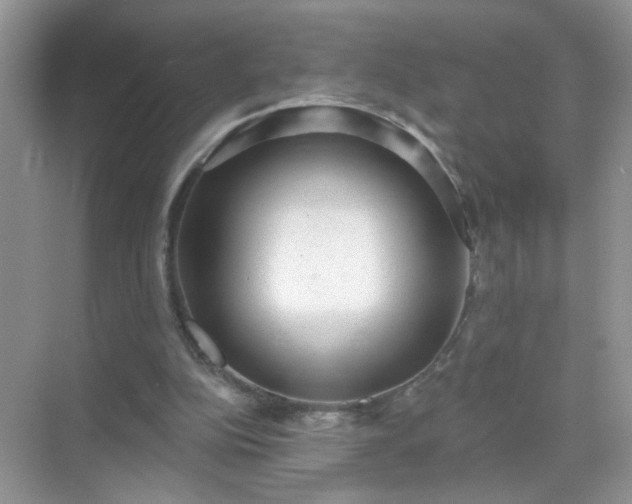 X0000071800152200607072100