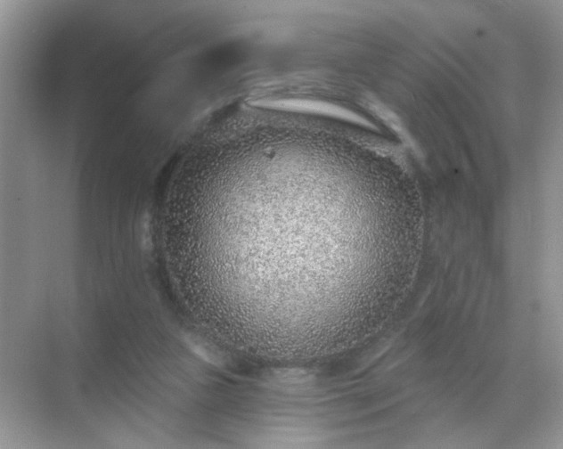 X0000071800161200607072100