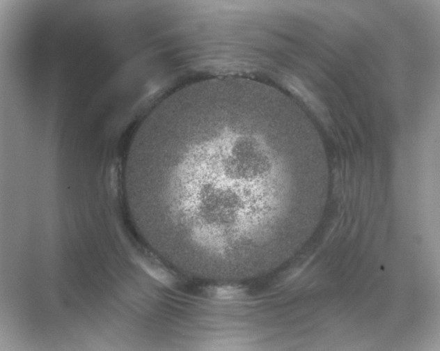 X0000071800165200607072101