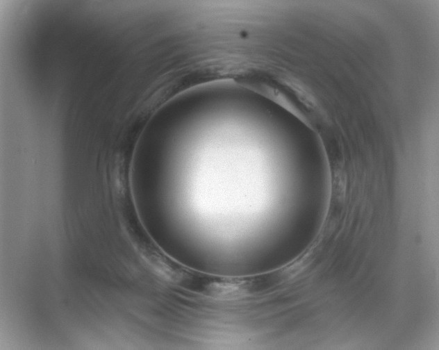 X0000071800170200607072101