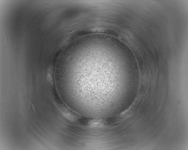 X0000071800175200607072101