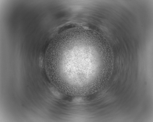 X0000071800177200607072101