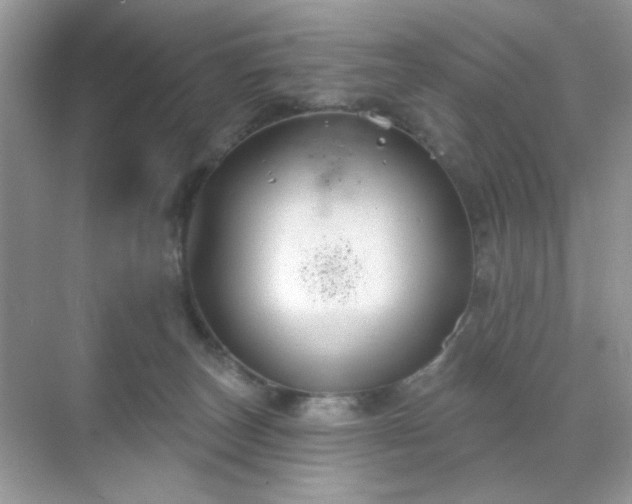 X0000071800179200607072101