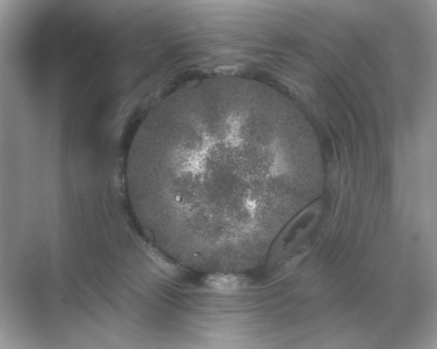 X0000071800181200607072101