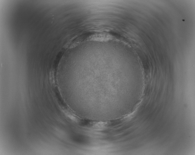 X0000071800182200607072101