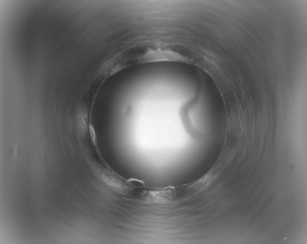 X0000071800188200607072101