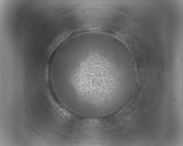 X0000071800194200607072100