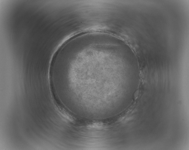 X0000071800196200607072100