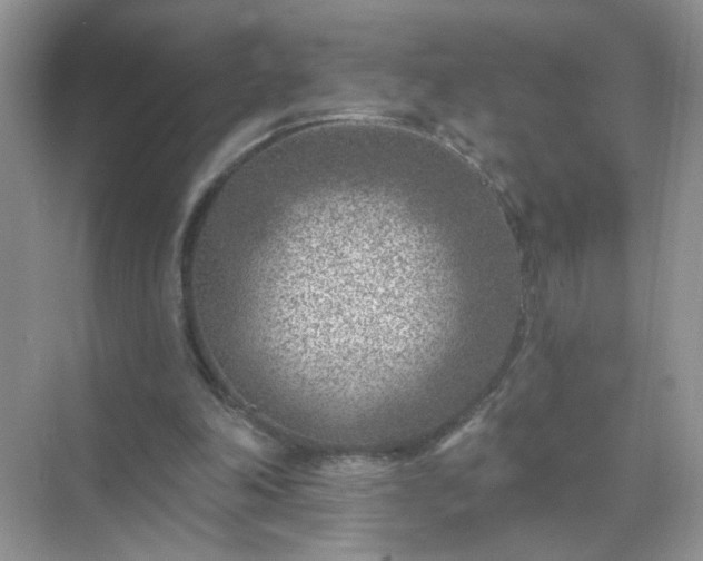 X0000071800198200607072100