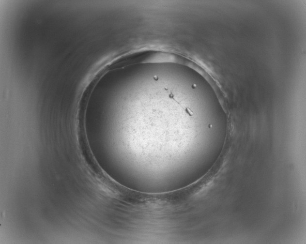 X0000071800199200607072100