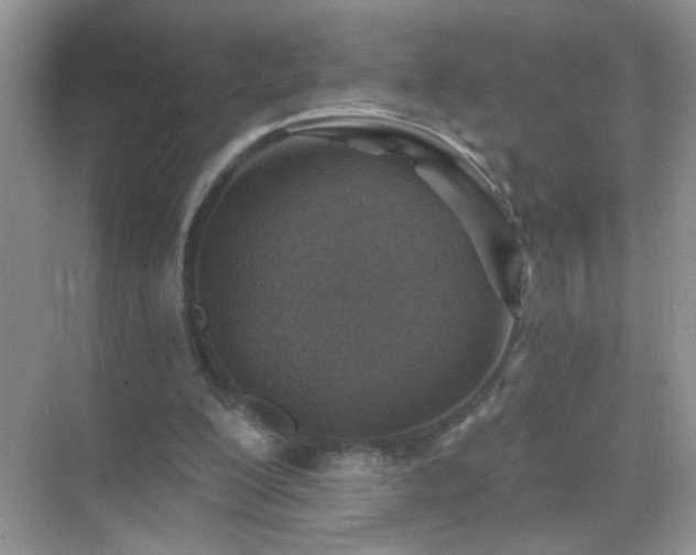 X0000071800200200607072100