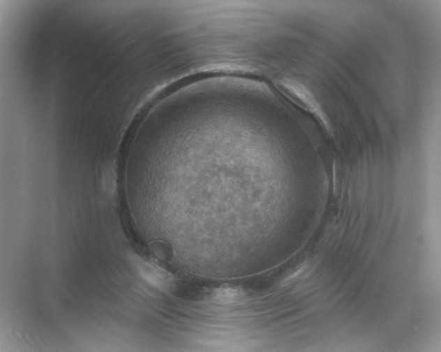 X0000071800204200607072100