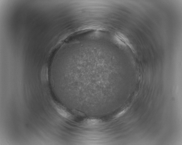 X0000071800205200607072100