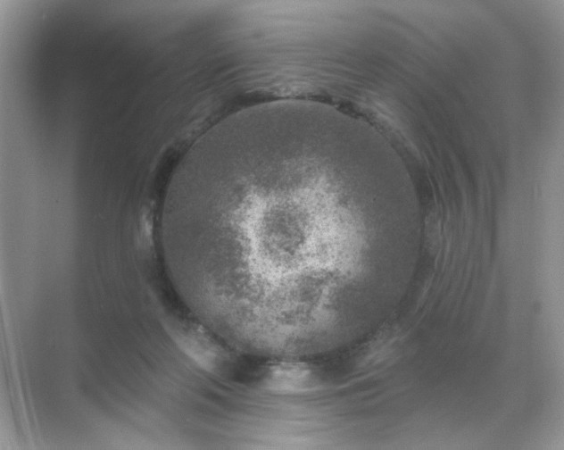 X0000071800214200607072100