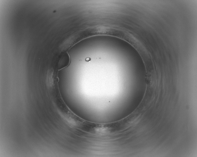 X0000071800216200607072100