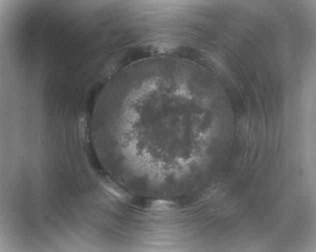 X0000071800222200607072100