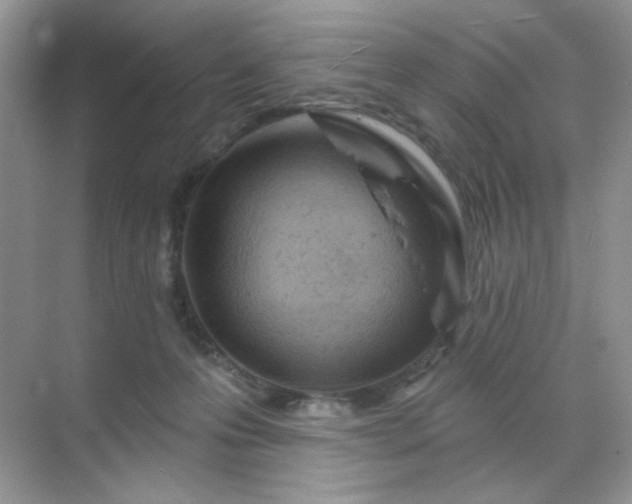 X0000071800223200607072100