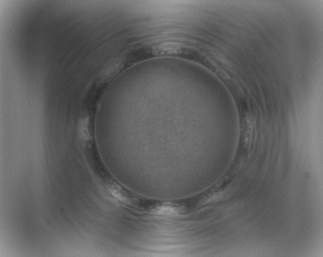 X0000071800224200607072100