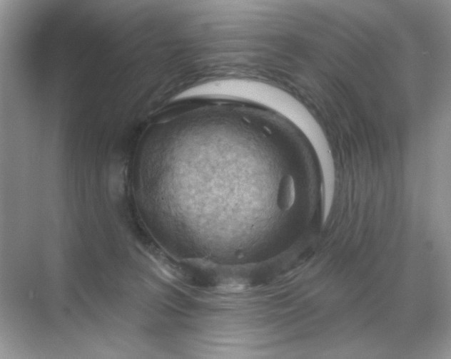 X0000071800227200607072100