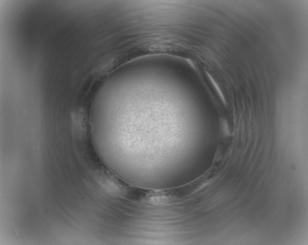 X0000071800228200607072100