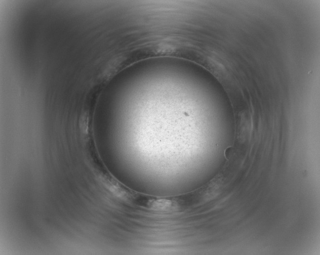 X0000071800230200607072100