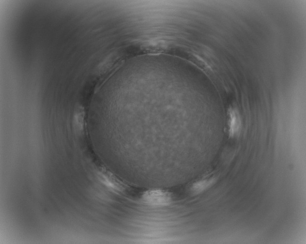 X0000071800231200607072100