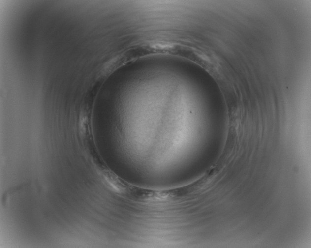 X0000071800235200607072059