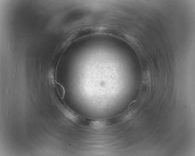 X0000071800238200607072059