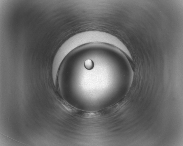 X0000071800239200607072059