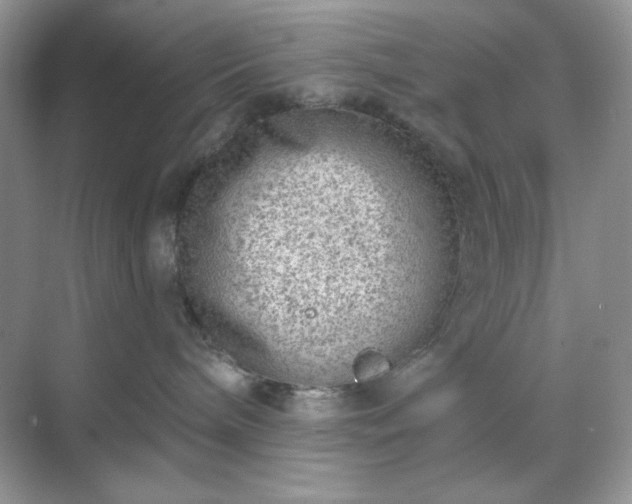 X0000071800240200607072059