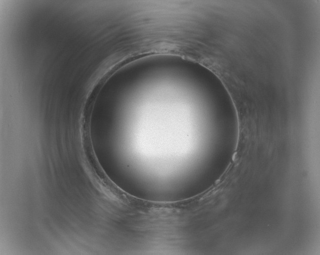 X0000071800242200607072059