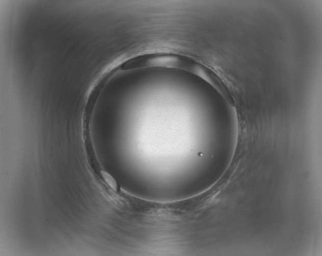 X0000071800244200607072059