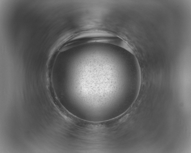 X0000071800245200607072059