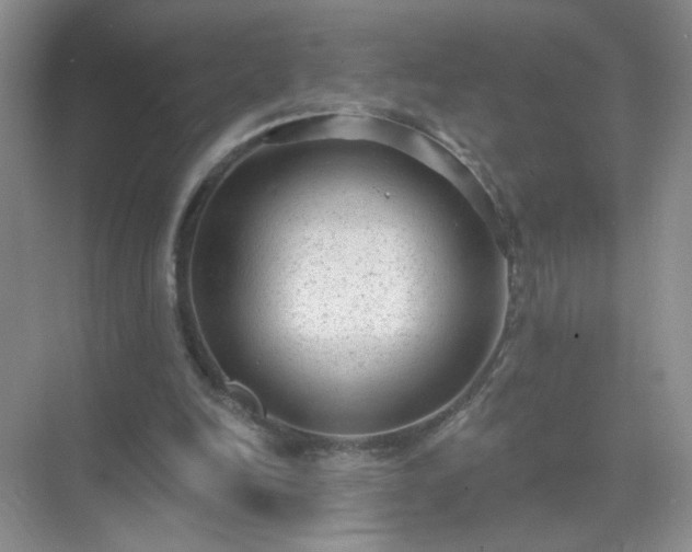 X0000071800246200607072059