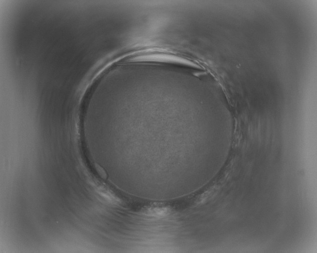 X0000071800247200607072059