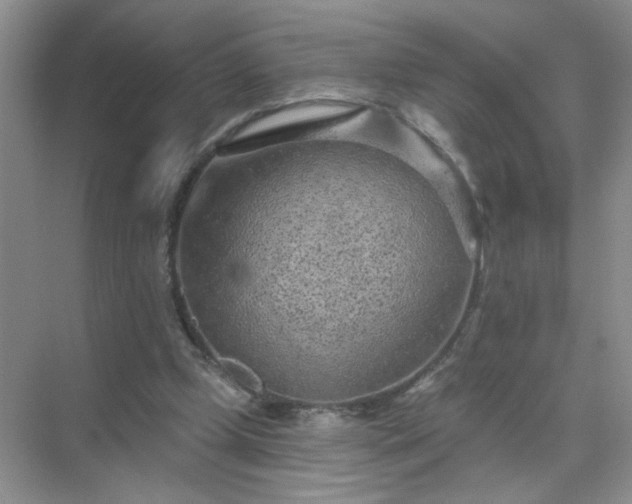 X0000071800249200607072059