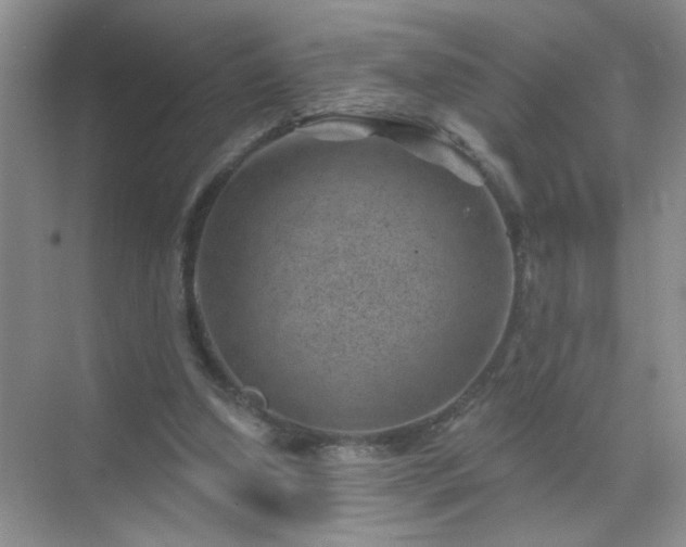 X0000071800250200607072059