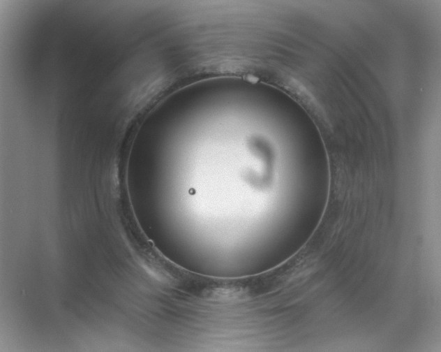 X0000071800251200607072059