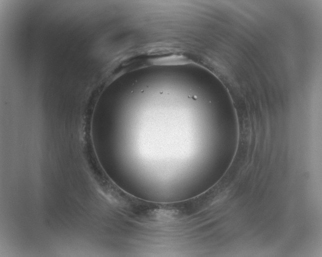 X0000071800255200607072059