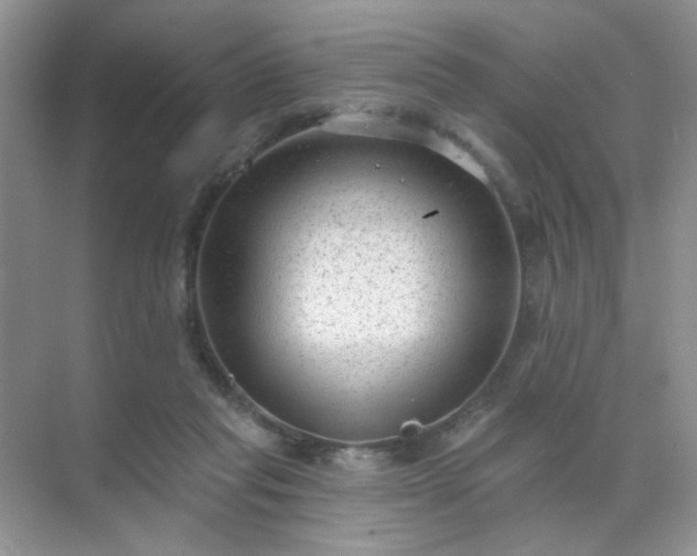 X0000071800261200607072059