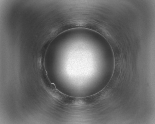 X0000071800262200607072059