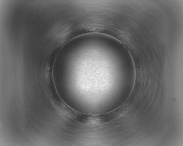 X0000071800263200607072059