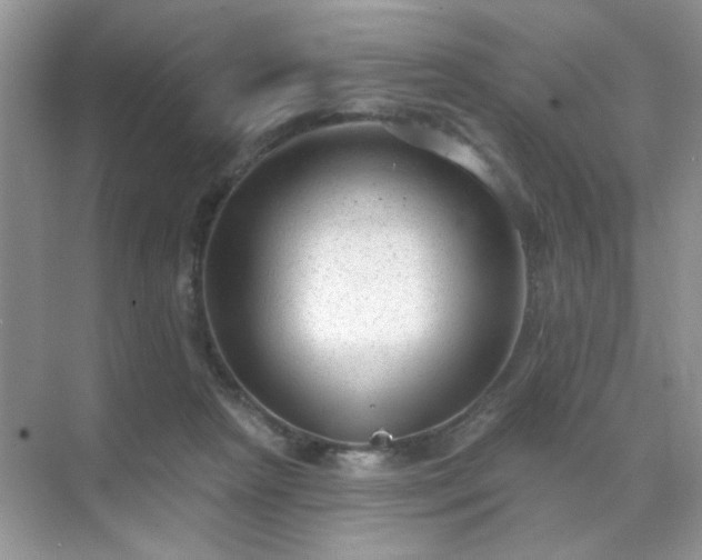 X0000071800265200607072059